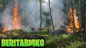 BMKG Ingatkan Risiko Karhutla 2026 dan Pentingnya Kesiapsiagaan